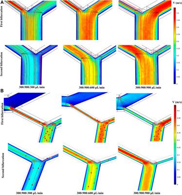 Enhanced Separation Efficiency and Purity of Circulating Tumor Cells Based on the Combined Effects of Double Sheath Fluids and Inertial Focusing